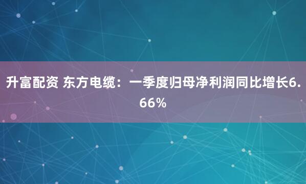 升富配资 东方电缆：一季度归母净利润同比增长6.66%