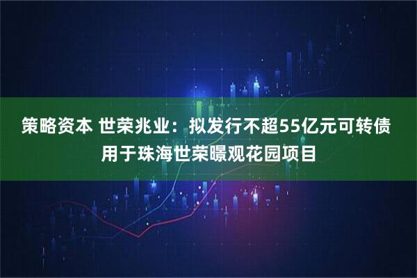 策略资本 世荣兆业：拟发行不超55亿元可转债 用于珠海世荣暻观花园项目